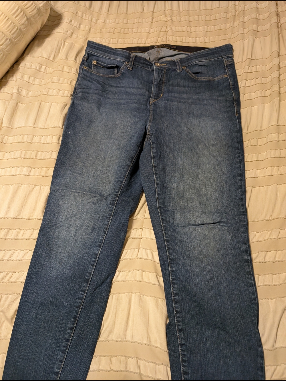 torrid Skinny Jeans in Classic Blue Wash